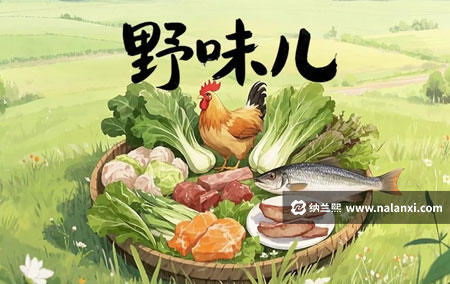 纪录片《野味儿》全5集国语中字[1080P][MP4]
