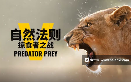 纪录片《自然法则：掠食者之战》全6集英语中英双字[1080P][MP4]