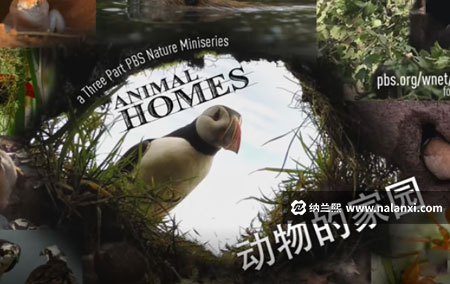 纪录片《动物的家园》全1集英语中字[1080P][MP4]