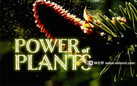 纪录片《植物的力量》全2集英语中英双字[1080P][MP4]