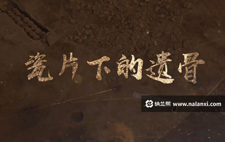 纪录片《瓷片下的遗骨》全1集国语中字[1080P][MP4]