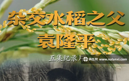 纪录片《“杂交水稻之父”袁隆平》全5集国语中字[720P][MP4]