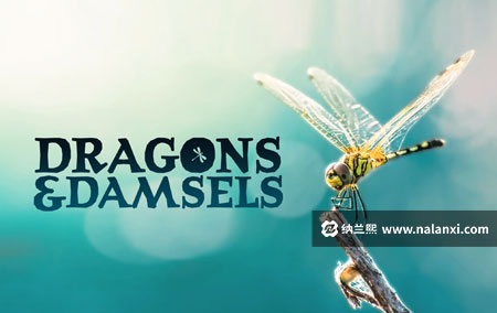 纪录片《蜻蜓与豆娘的生存密码》全1集英语中字[1080P][MP4]