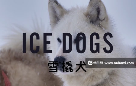 纪录片《雪橇犬》全1集英语中字[1080P][MP4]