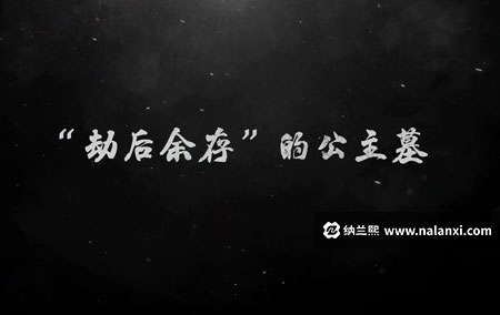 纪录片《“劫后余存”的公主墓》全1集国语中字[1080P][MP4]