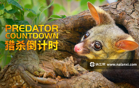 纪录片《猎杀倒计时 第一季》全4集英语中英双字[1080P][MP4]