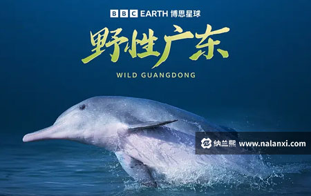 纪录片《野性广东》全3集国语中字[1080P][MP4]