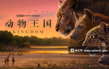 纪录片《动物王国》全6集国语中英双字[1080P][MP4]