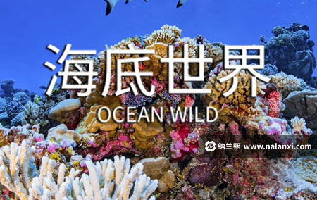 纪录片《海底世界》全4集英语中英双字[1080P][MP4]